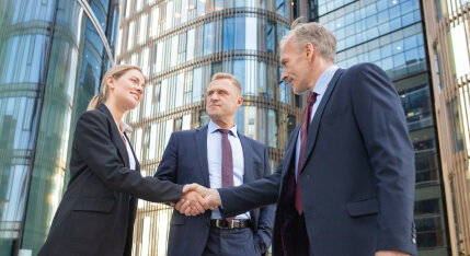 Estate Litigation Lawyers